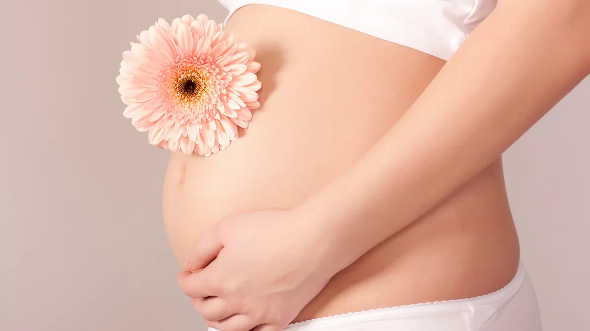 Schwangere Frau hält eine Gerbera an ihren Bauch