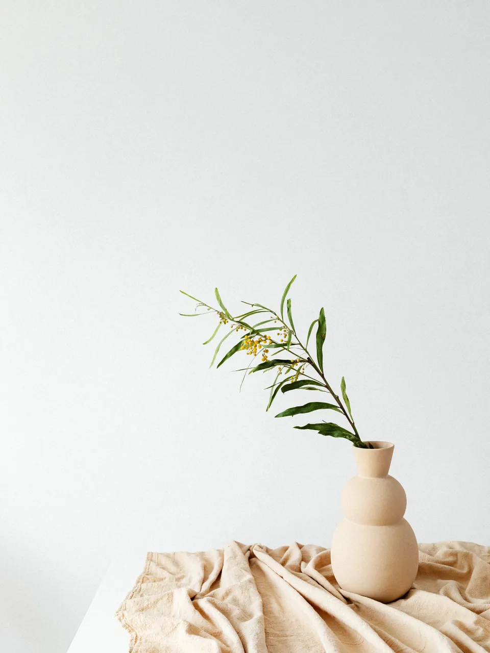 Zarter Zweig in schlanker Vase, warmes Licht